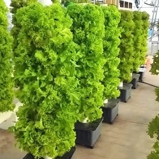 71xGUb1J3FL._AC_SX679_.webp