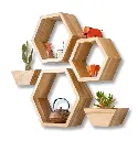 Modern Hexagon Wall Décor – Floating Shelf Set (3 pcs + 2 Flower Pots)