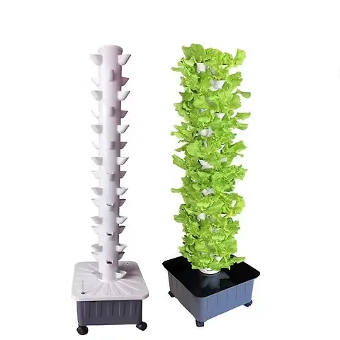 Aeroponics System